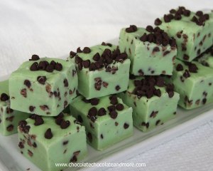 mint-chocolate-chip-fudge-recipe-chocolatechocolateandmore-60a